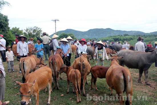 Chợ Tru-Tản văn của Đinh Tú Anh (Quảng Ninh)