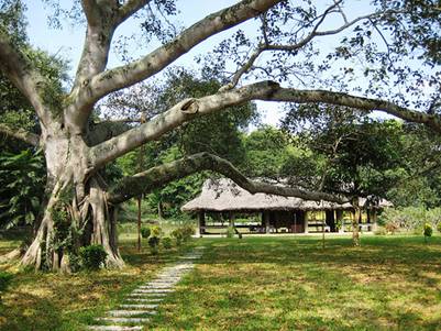 Anh ơi, về Tuyên Quang -Thơ của Quỳnh Nga (Tuyên Quang)