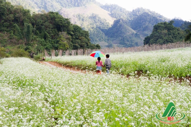 Chùm thơ của Nguyễn Huyền Mến- Sơn La