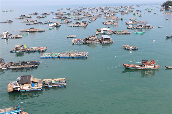 Kiên Giang phát động cuộc thi Ảnh nghệ thuật lễ hội và mùa xuân